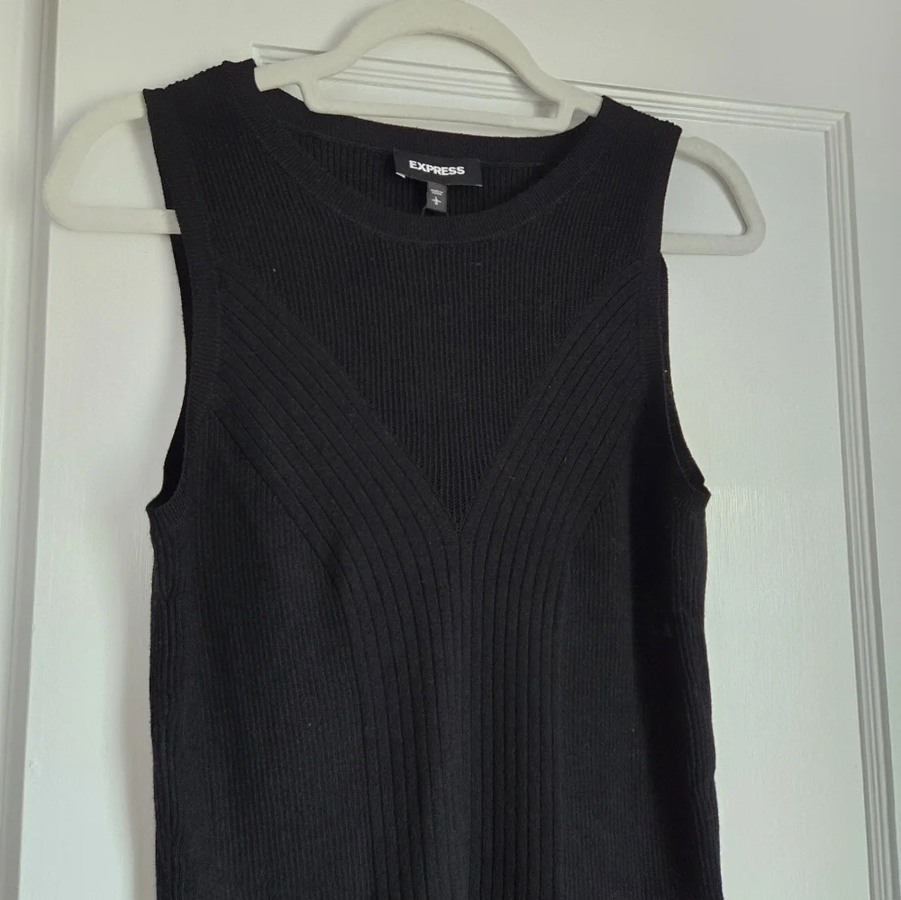 Express Sleeveless Sweater